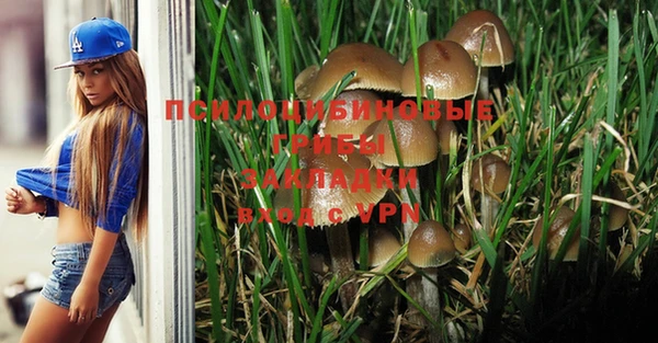 PSILOCYBIN Балабаново