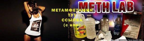 крисы Баксан