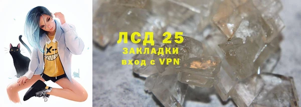 PSILOCYBIN Балабаново