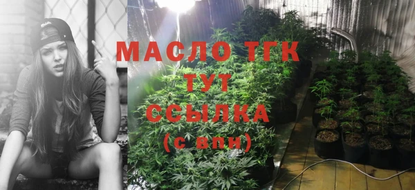 крисы Баксан