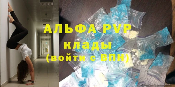 PSILOCYBIN Балабаново