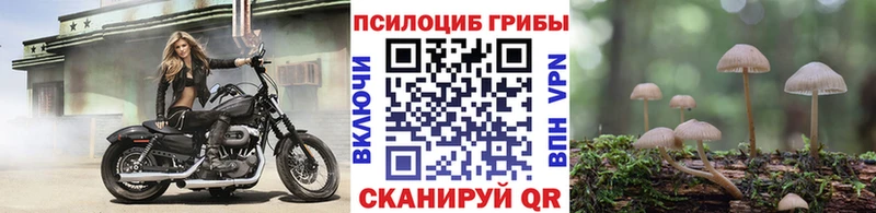 Псилоцибиновые грибы MAGIC MUSHROOMS Удомля