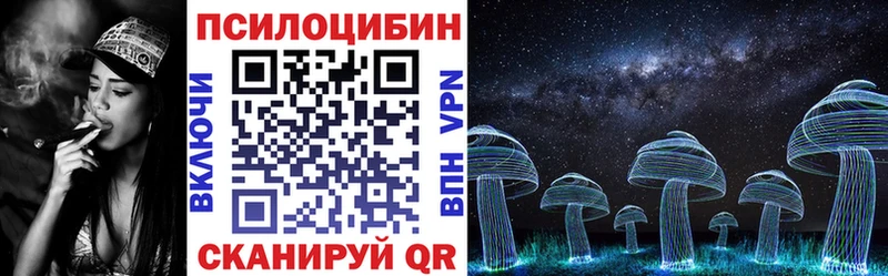 закладка  Удомля  кракен ONION  Псилоцибиновые грибы Psilocybine cubensis 