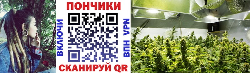 Шишки марихуана сатива  дарк нет какой сайт  Удомля  mega как зайти 
